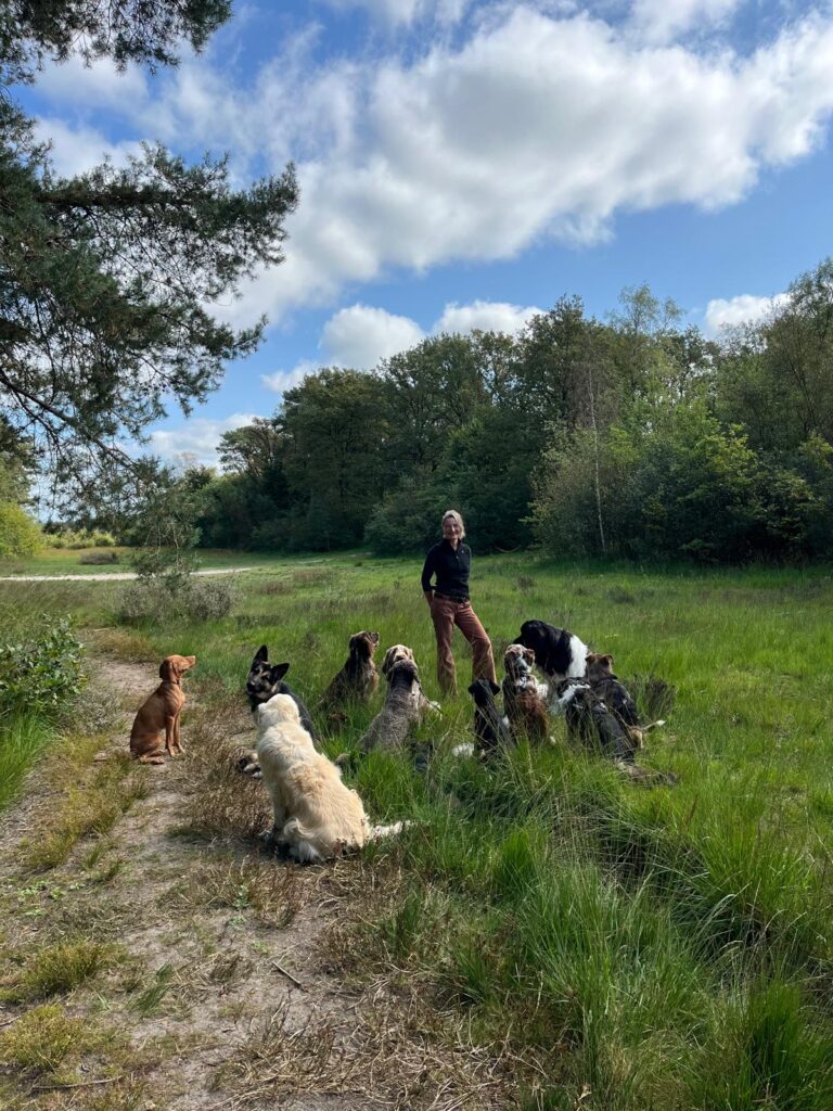 Cosima met een groep honden in de natuur