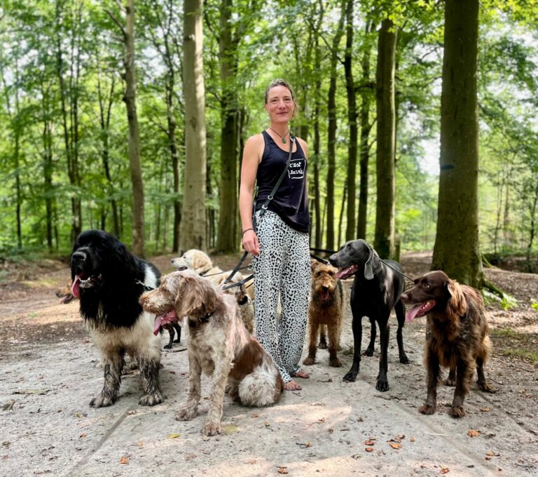 Groep honden met Cosima in het bos