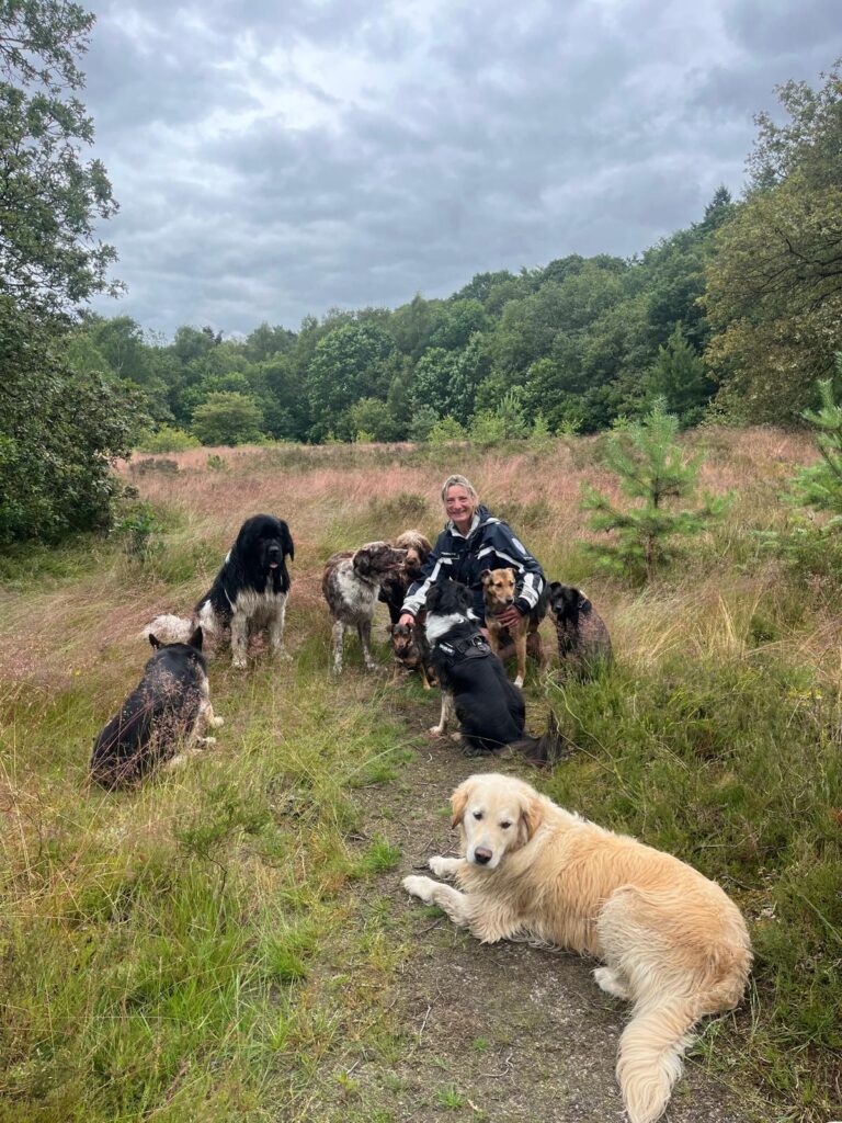 Cosima met een groep honden