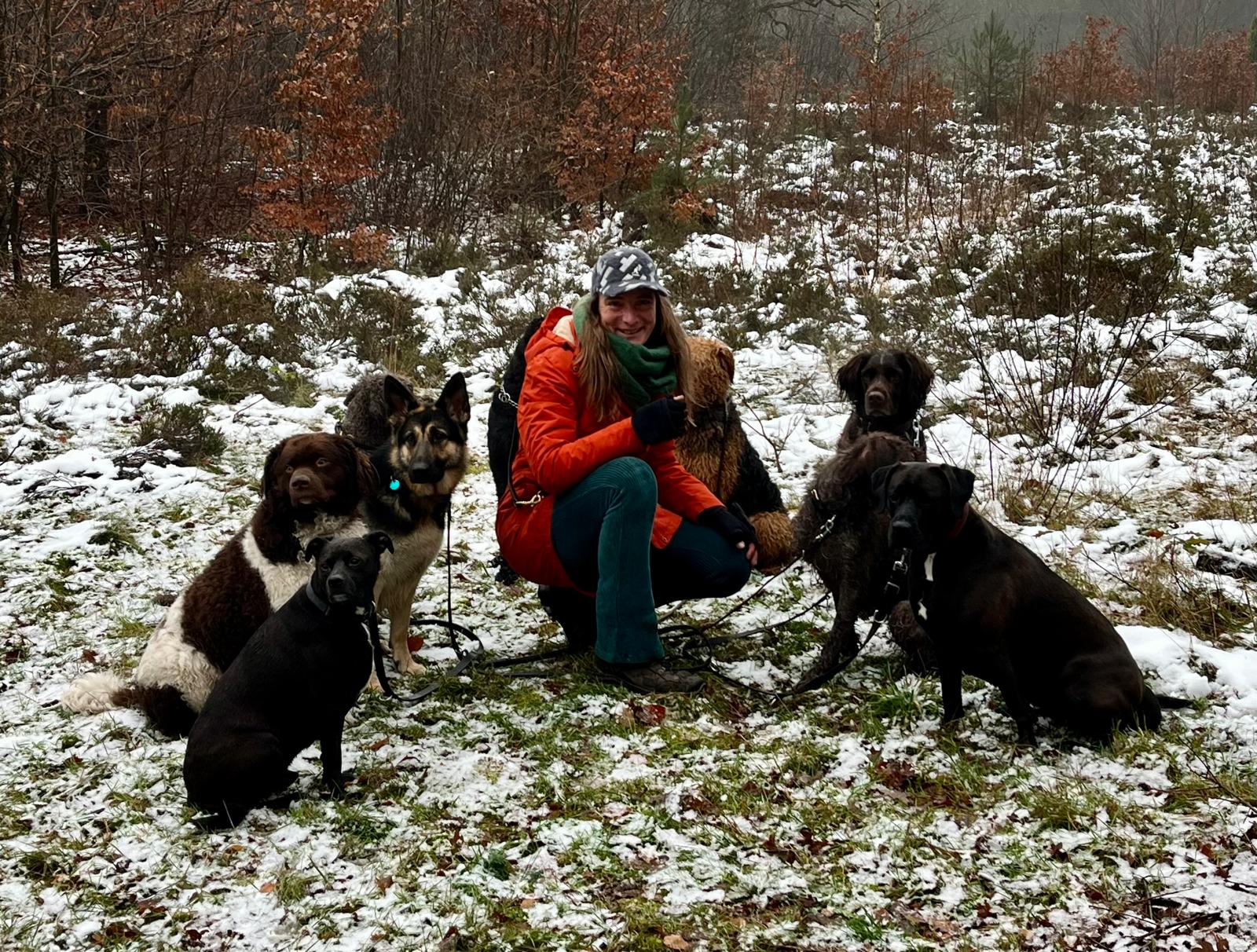 Cosima en een groep honden